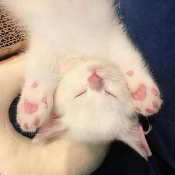 Ảnh đại diện của Mỹ Duyên